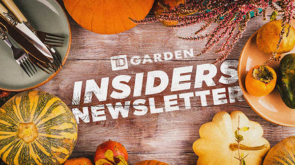 TD Garden Insiders Monthly October Edition