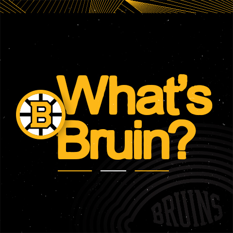 Stay Up to Date on All Things Bruins