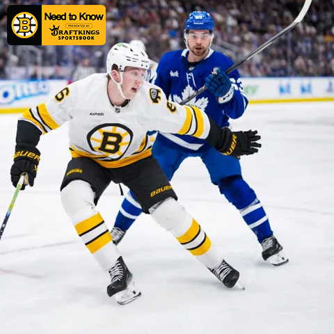 Stay Up to Date on All Things Bruins
