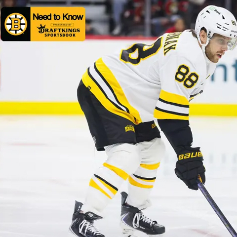 Stay Up to Date on All Things Bruins