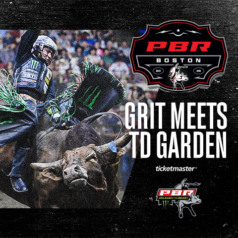 Professional Bull Riders 
