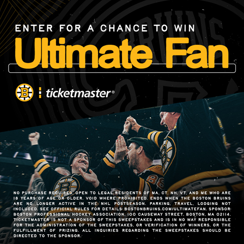 Boston Bruins Ultimate Fan