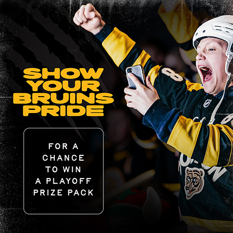 Show Off Your Bruins Pride