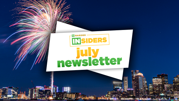 TD Garden Insiders Monthly: July