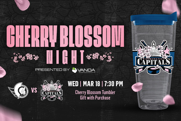 Cherry Blossom Night