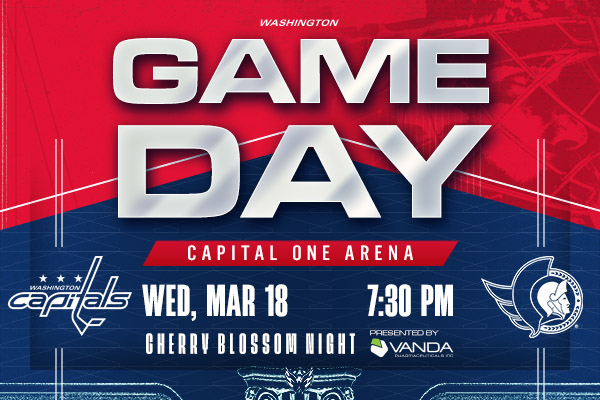 Capitals Game Preview