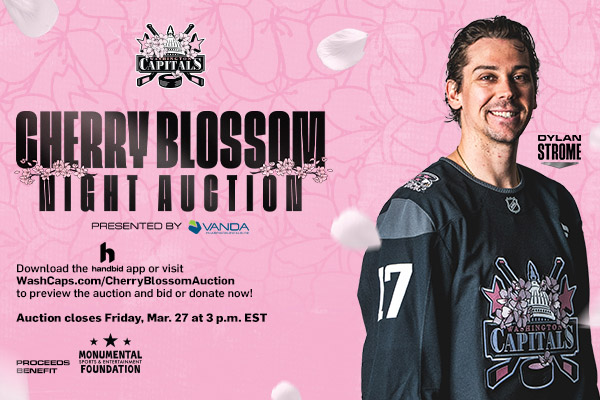 Cherry Blossom Auction