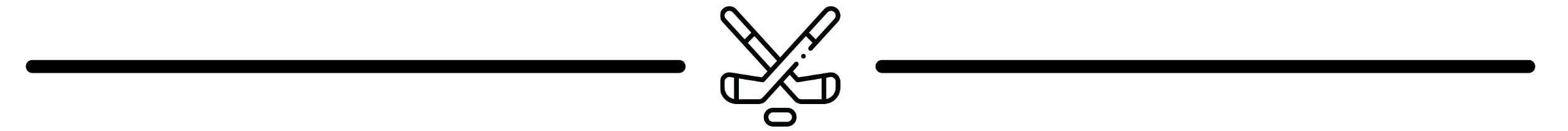 Hockey Sticks divider