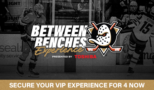 Between the Benches Experience