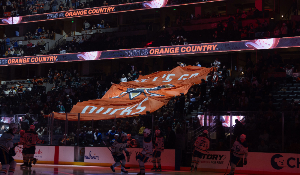 Group Tickets - Flag in the crowd
