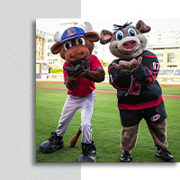 Bulls Host Canes Themed game