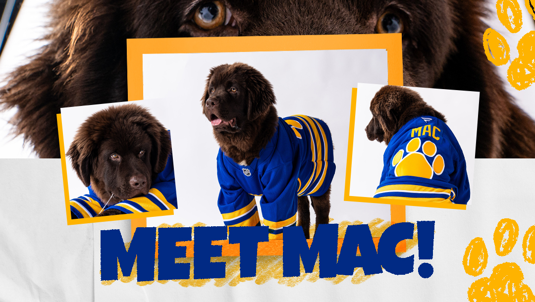 Meet Mac