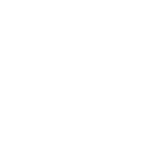 Twitter Logo