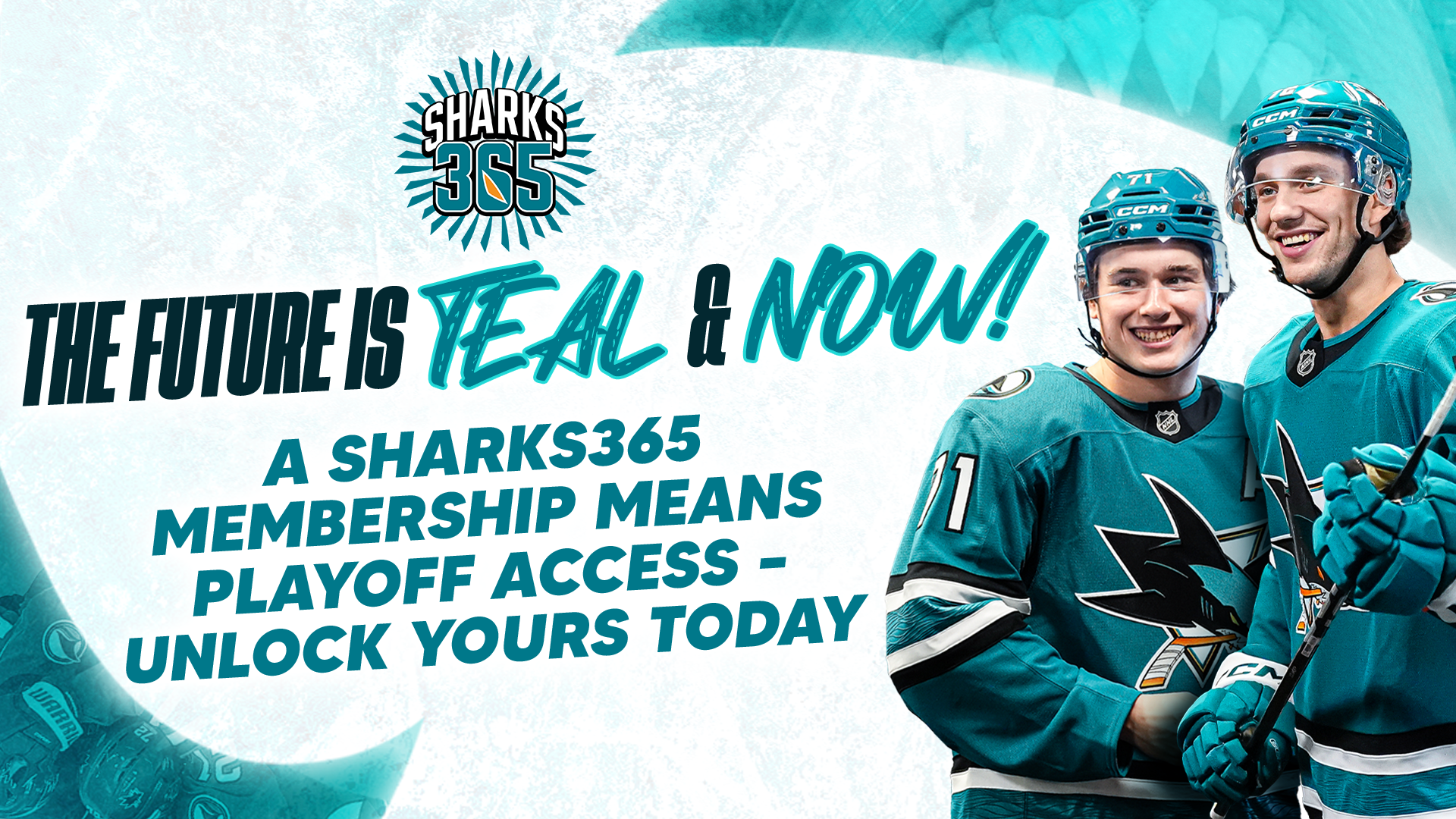2026-27 Sharks365 On Sale Now