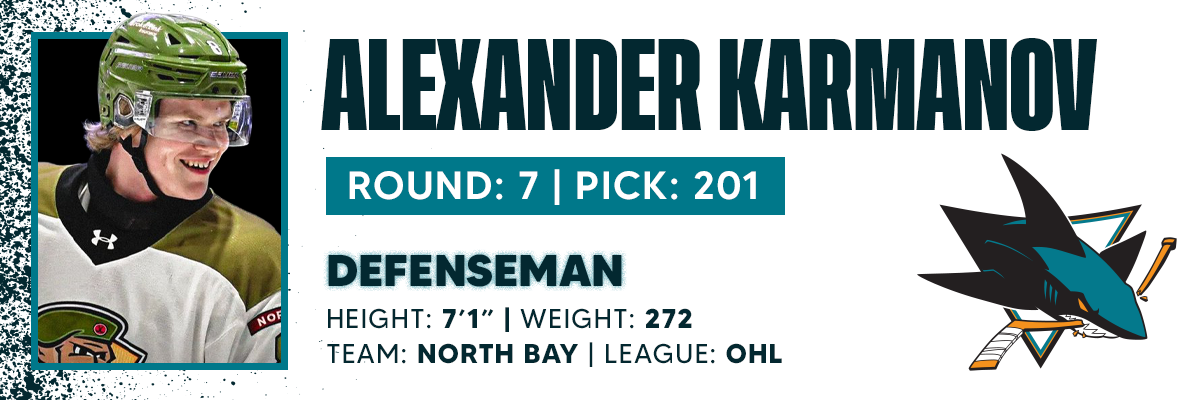 Banner Alexander Karmanov