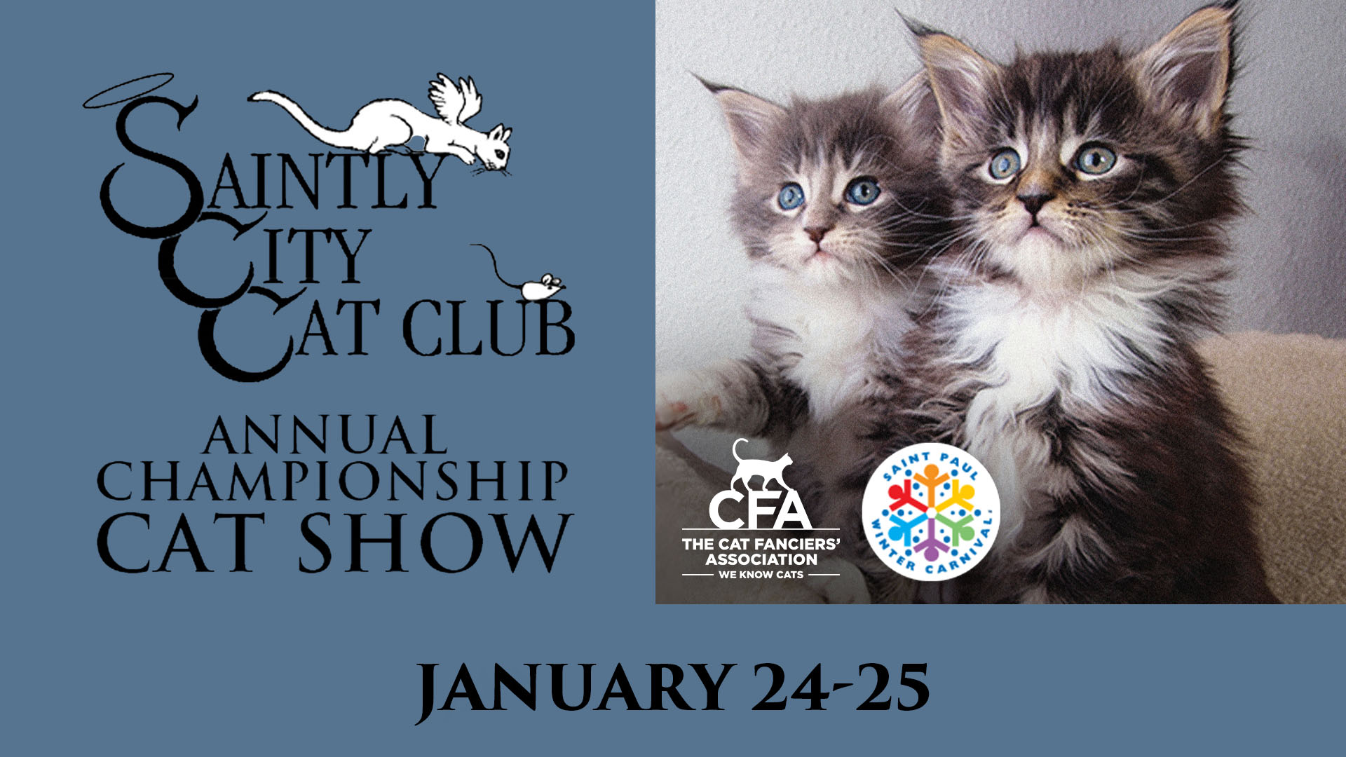 Saintly City Cat Club Cat Show