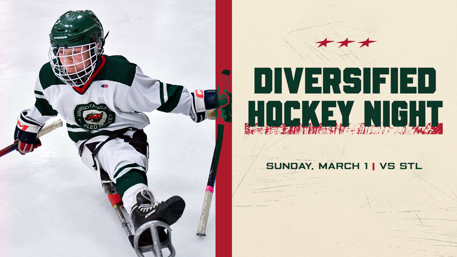 Diversified Hockey Night
