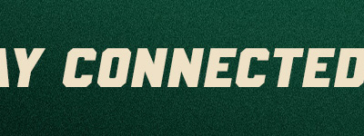 Minnesota Wild