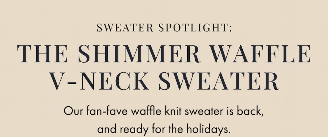 Sweater spotlight: The Shimmer Waffle V-Neck Sweater