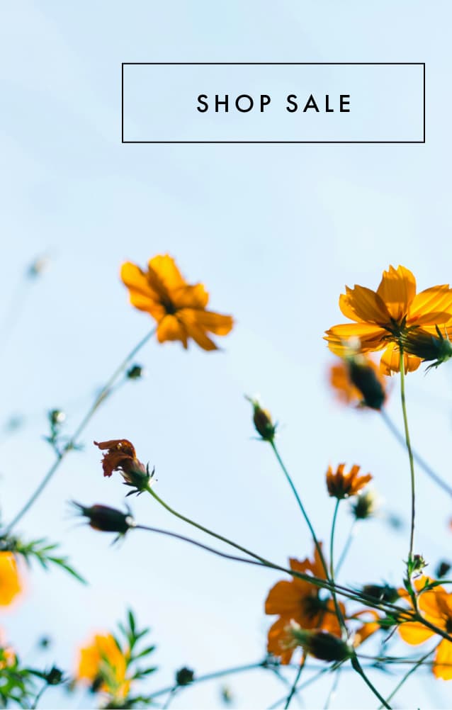 Shop sale link with yellow flowers and clear light blue sky background image