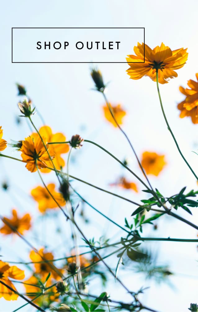Shop outlet link with yellow flowers and clear light blue sky background image