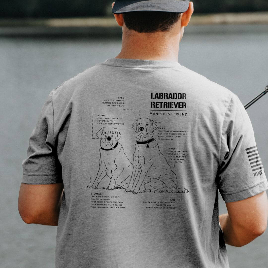 Labrador Schematic Design
