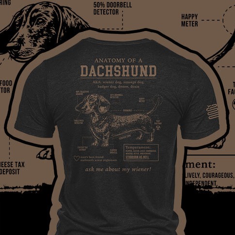 Dachshund Schematic Design