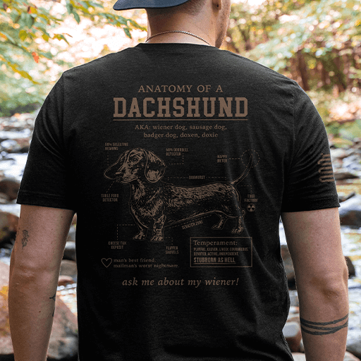Dachshund Schematic Design