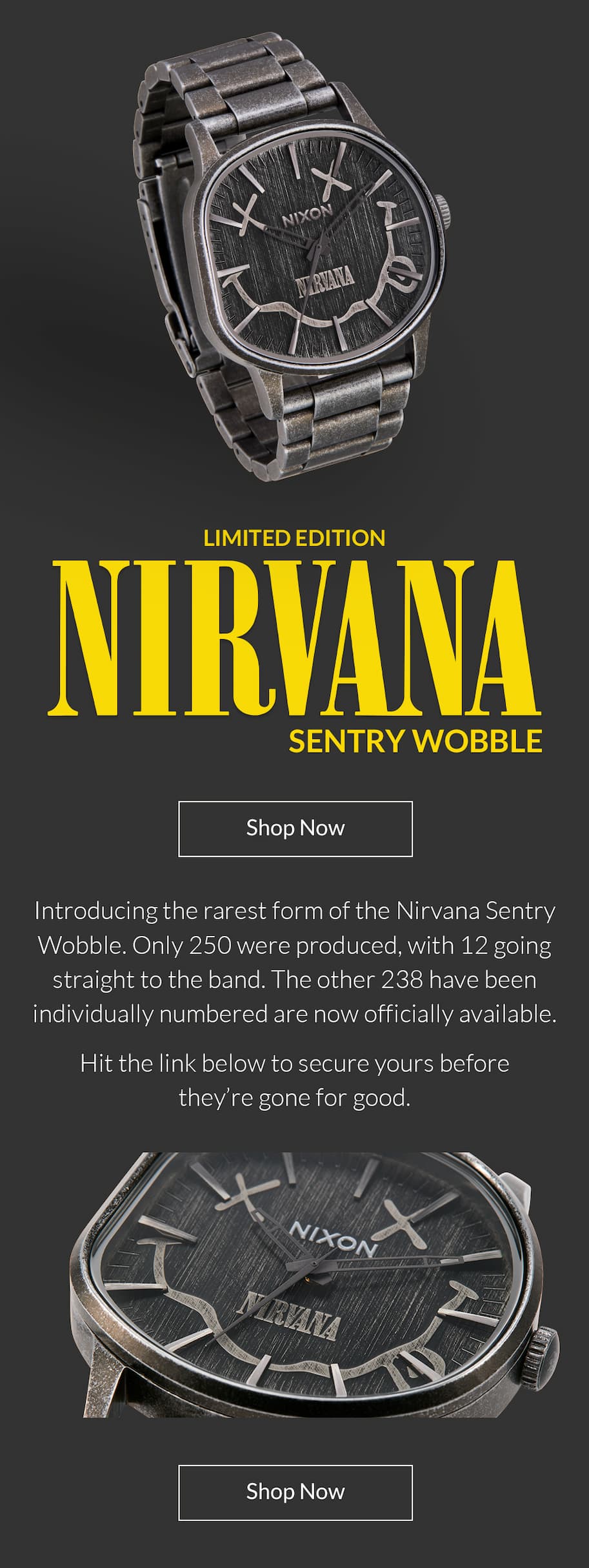 Nirvana Special Edition Wobble - Shop Now