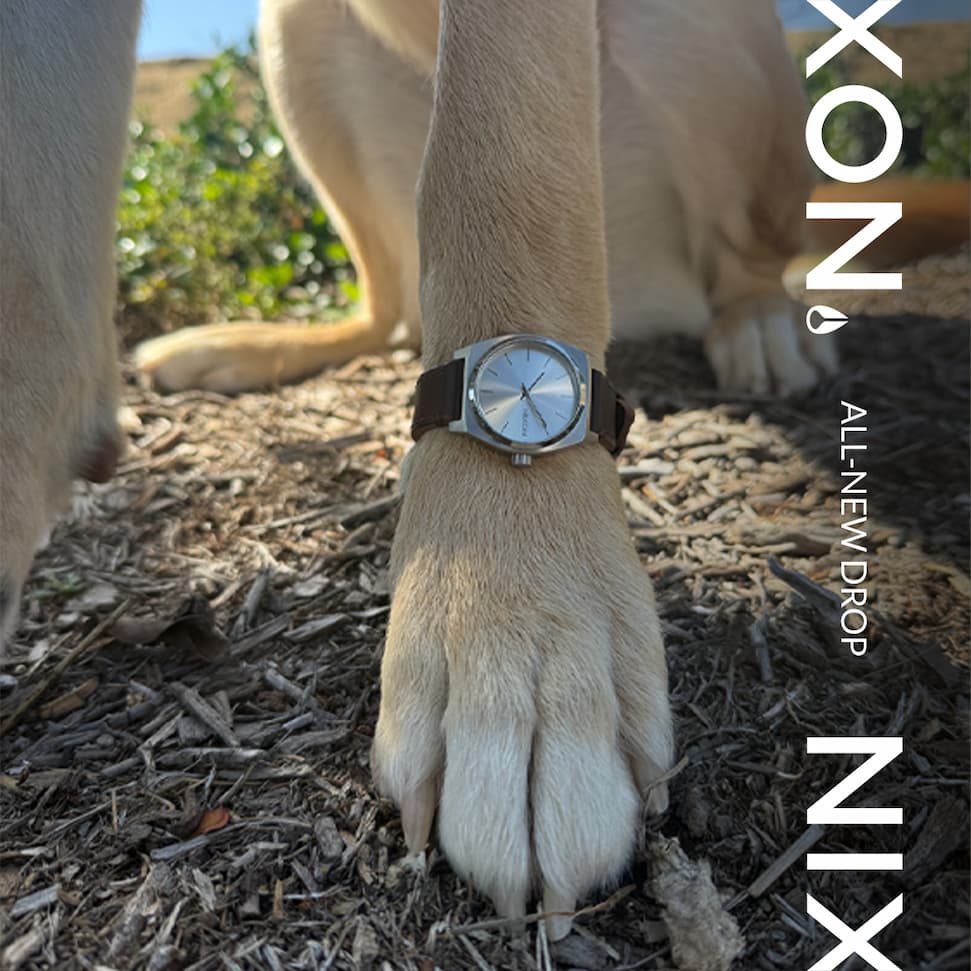 Time Teller K-9 - Shop Now
