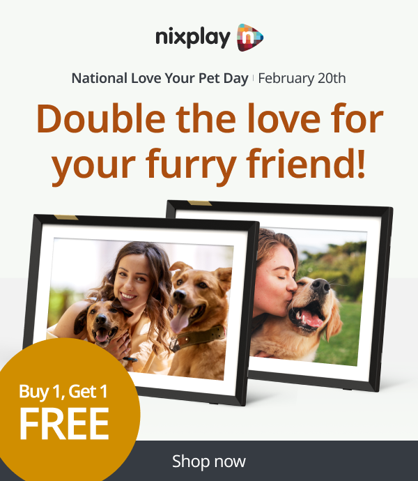 Buy one get one free for National Love Your Pet Day!