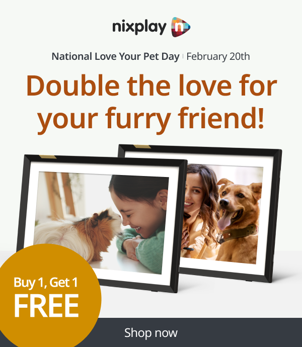 Buy one get one free for National Love Your Pet Day!