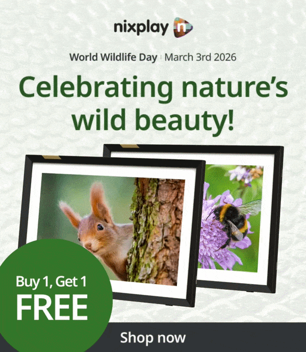 Celebrating nature's wild beauty for World Wildlife day - buy one get one free!