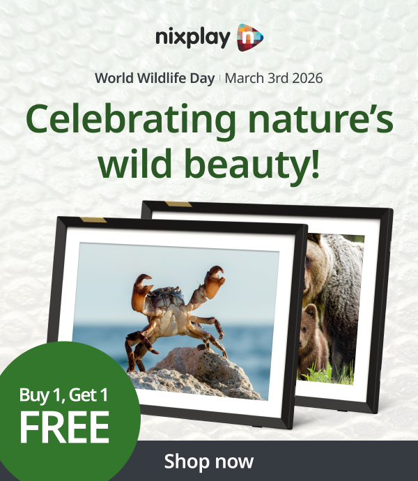 Celebrating nature's wild beauty for World Wildlife day - buy one get one free!
