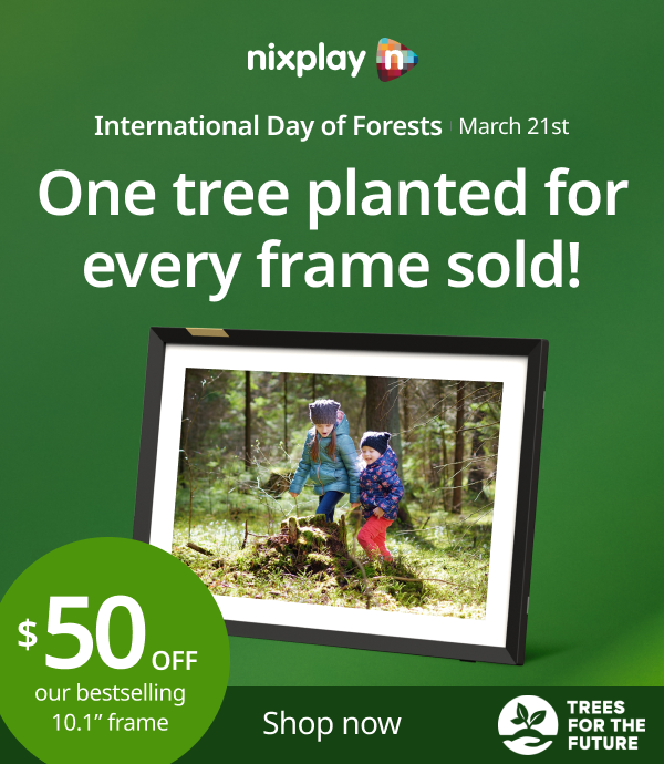 International Day of Forests: One tree planted for every frame sold