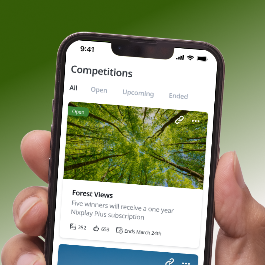 Photo competition: Forest Views