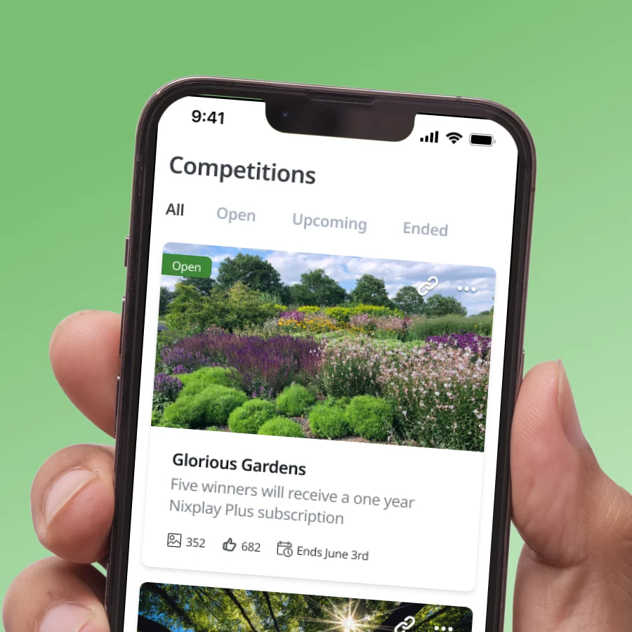 Photo competition: Glorious Gardens