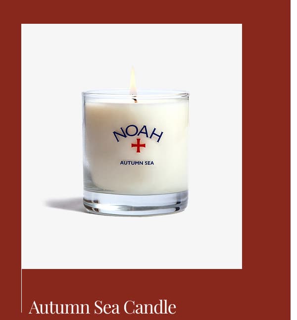 Candle