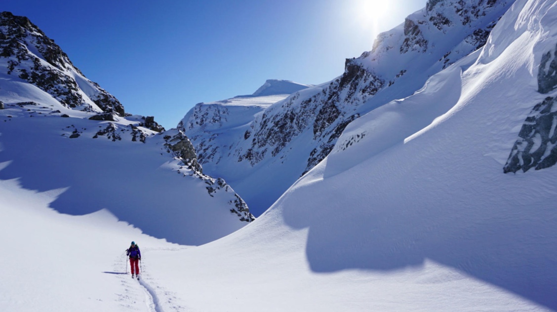 Lyngen