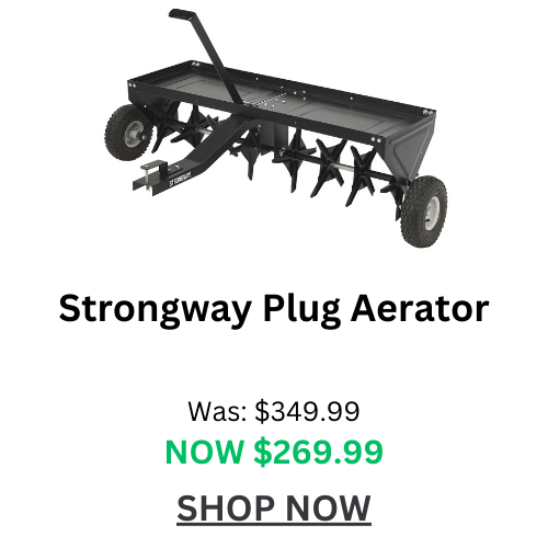 Buy Now