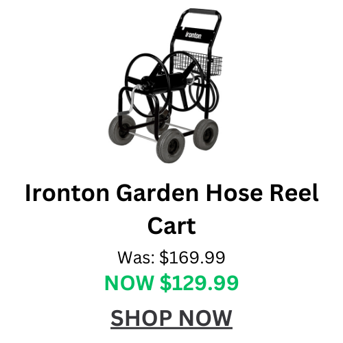 Buy Now