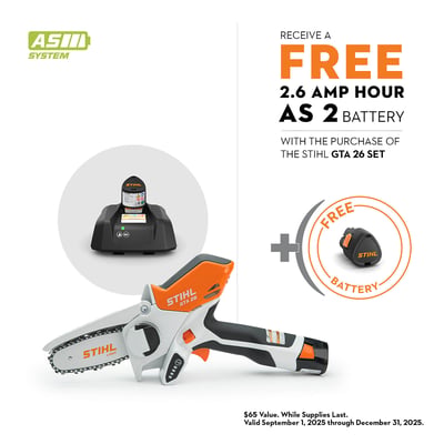 STIHL Battery-Operated Cordless Pruning Saw with Battery and Charger, 4in. Bar, Model# GTA 26 SET