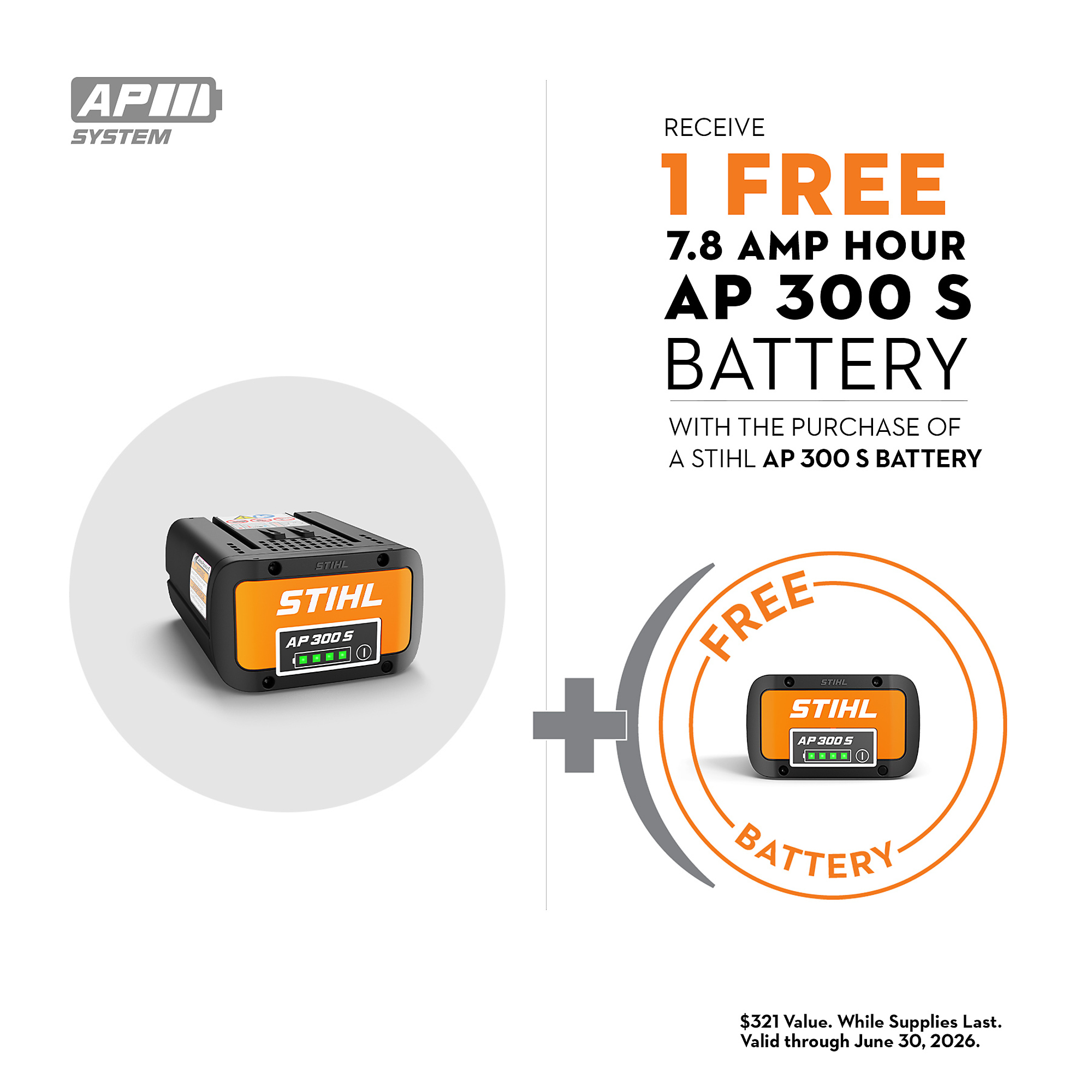 STIHL 36 Volt Lithium-Ion Battery, Model# AP 300 S