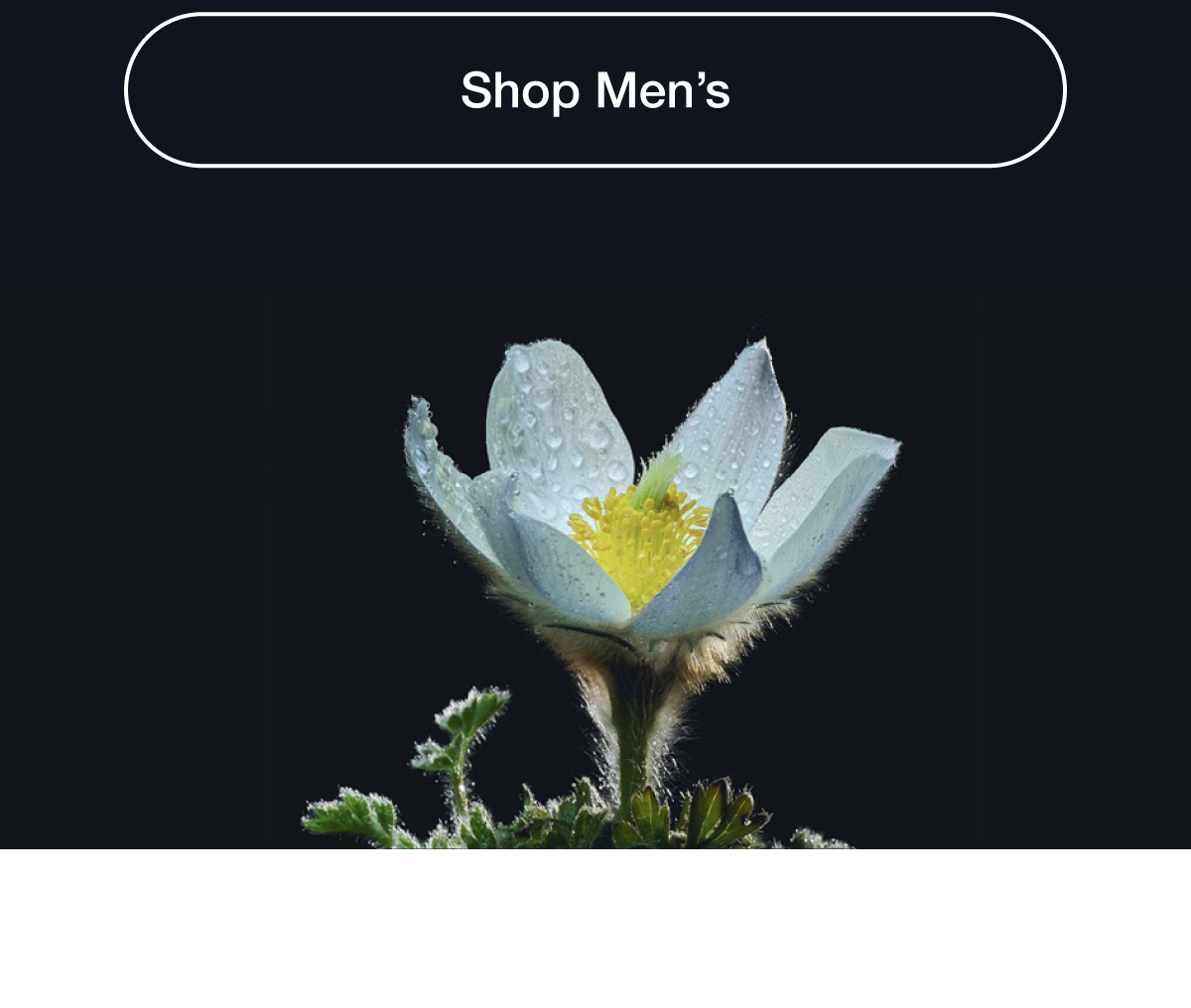 Shop Men's
