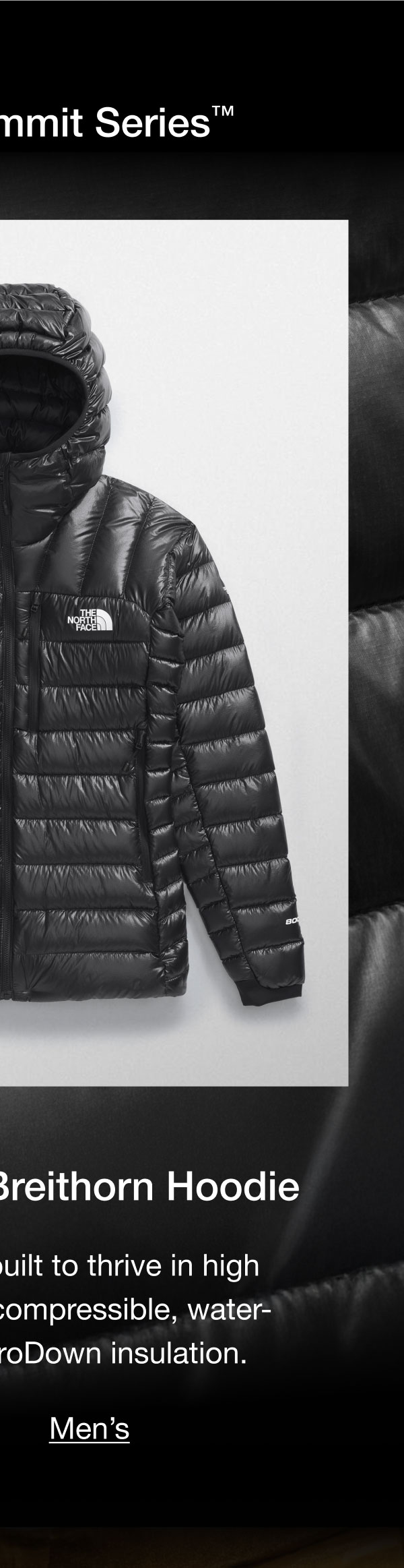 Summit Series Breithorn Hoodie.This best-seller is built to thrive in high altitude with highly compressible, water-repellent 800-fill ProDown insulation.