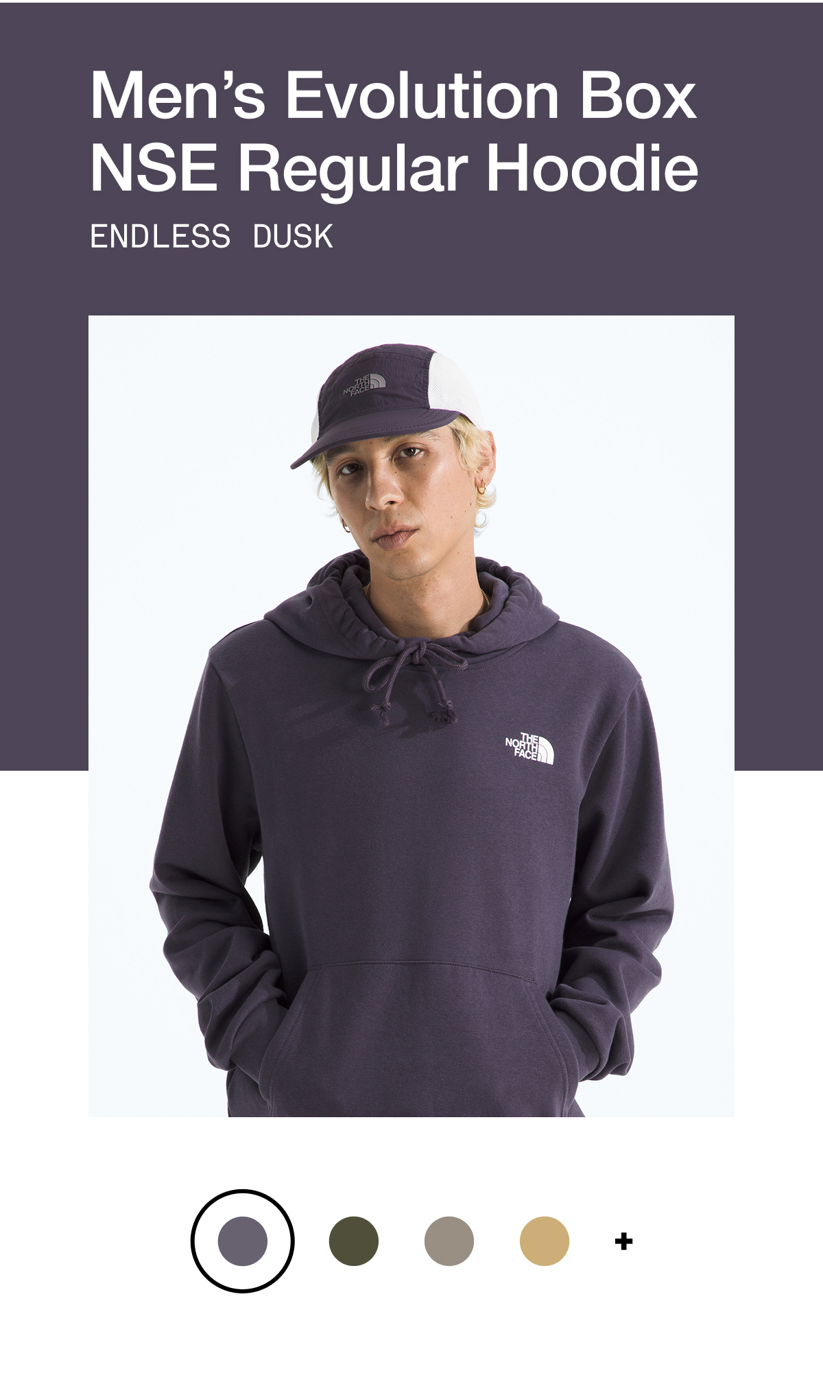 Men’s Evolution Box NSE Regular Hoodie