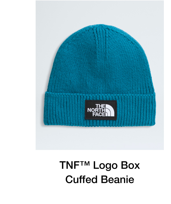 TNF Logo Boz Cuffed Beanie