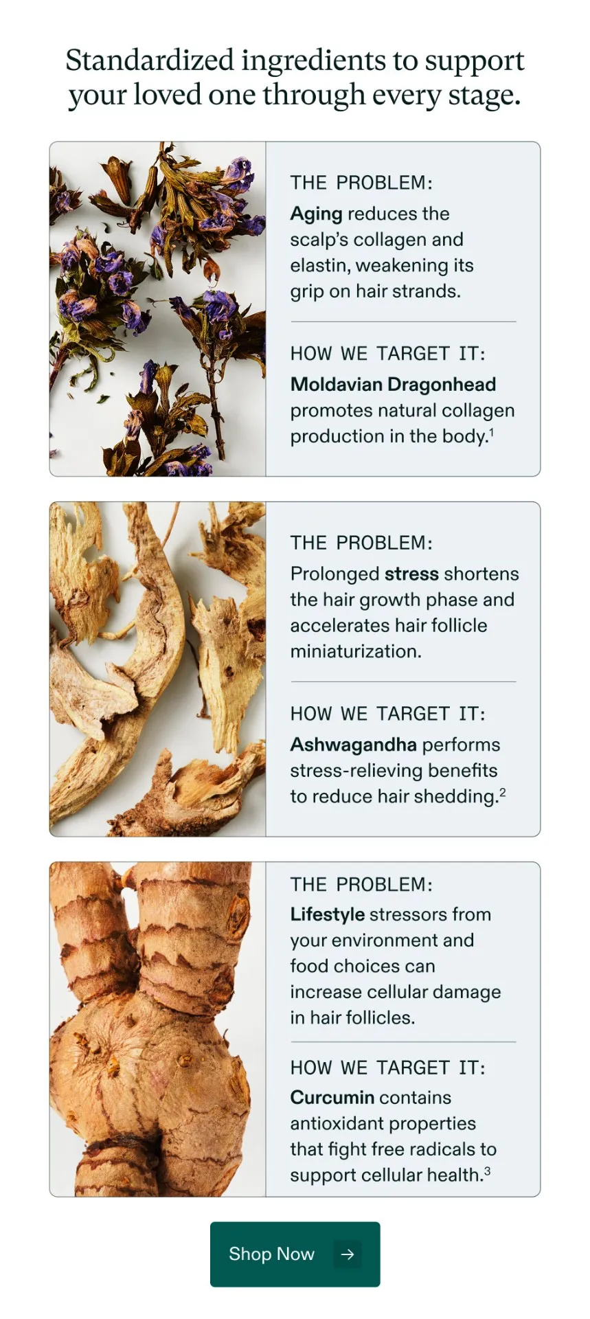 Standardized ingredients to support your loved one through every stage. The problem: Aging reduces the scalp’s collagen and elastin, weakening its grip on hair strands - How we target it: Moldavian Dragonhead promotes natural collagen production in the body | The problem: Prolonged stress shortens the hair growth phase and accelerates hair follicle miniaturization - How we target it: Ashwagandha performs stress-relieving benefits to reduce hair shedding | The problem: Lifestyle stressors from your environment and food choices can increase cellular damage in hair follicles - How we target it: Curcumin contains antioxidant properties that fight free radicals to support cellular health.