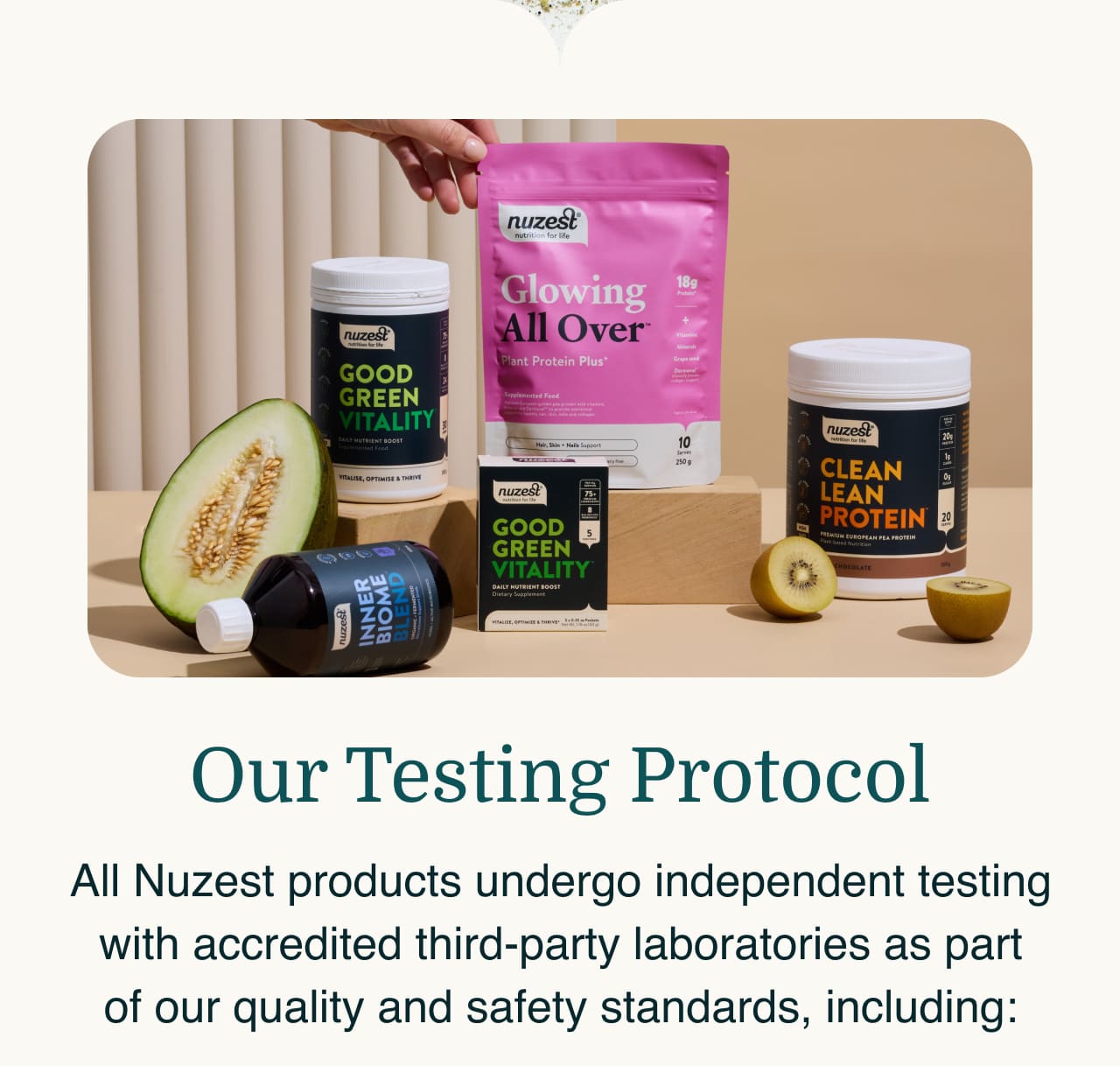 Our Testing Protocol 