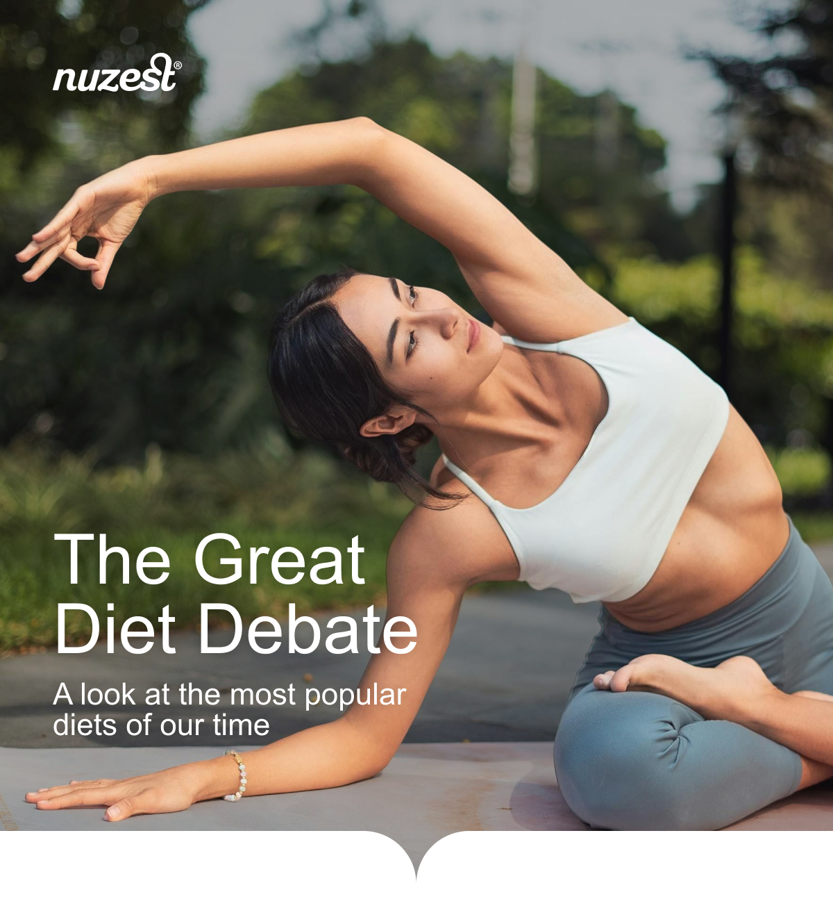 The Great Diet Debate